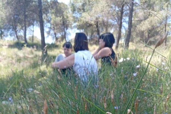 photo_2025-09-24_14-49-57 photo_2025-09-24_14-49-57